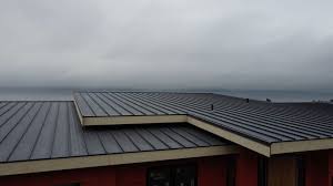 Best Roof Waterproofing  in Jackson, CA